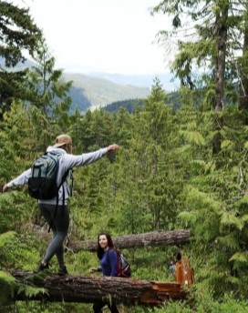 Forest Bathing